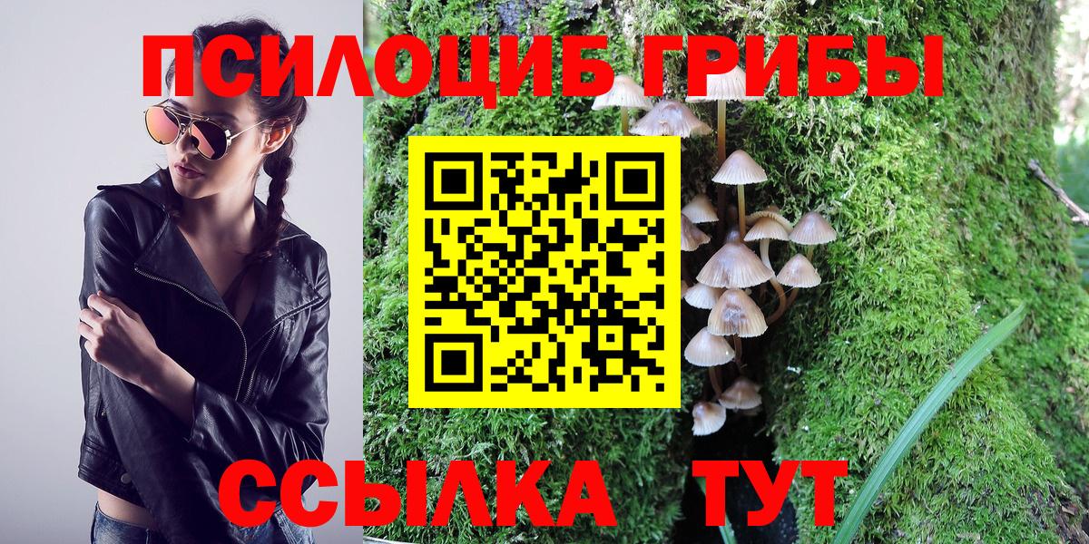 Псилоцибиновые грибы прущие грибы  где можно купить наркотик  Белебей  Вход с VPN 